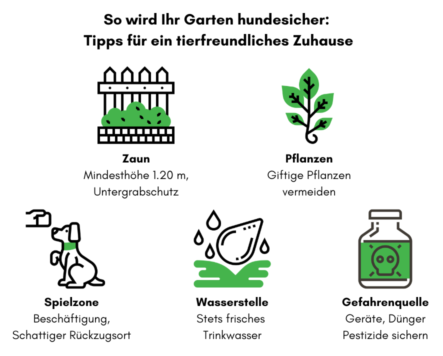 So wird der Garten hundesicher: Tipps fr ein tierfreundliches Zuhause   Tierio.de Blog