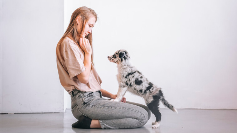 Frau sitzt auf dem Boden und spielt mit einem Welpen.